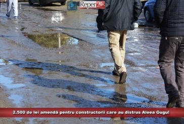 2.500 de lei amendă pentru constructorii care au distrus Aleea Gugu!