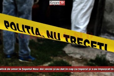 Tentativă de omor la Șopotu Nou: doi vecini și-au dat în cap cu toporul și s-au împușcat în față!