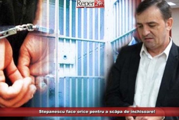 „Stepanescu era doar o mască a bunului gospodar”! Vezi cu ce solicitări s-a prezentat astăzi în instanță!