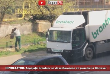 REVOLTĂTOR: Angajații Brantner se descotorosesc de gunoaie în Bârzava!