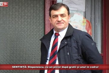 SENTINȚĂ: trei ani cu executare pentru Mihai Stepanescu!