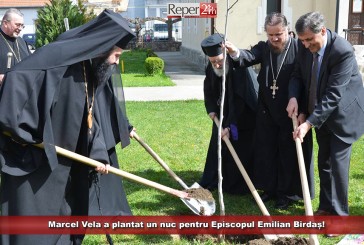 Marcel Vela a plantat un nuc pentru Episcopul Emilian Birdaș!