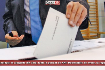 Candidații la alegerile din vară, luați la puricat de ANI! Declarațiile de avere, la raport!