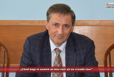 PNL a decis să ignore răutățile din campanie! „Când bagi în seamă un bou riști să se creadă taur”
