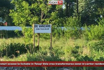 Terenuri scoase la licitație în Teiuș! Vela vrea transformarea zonei în cartier rezidențial!