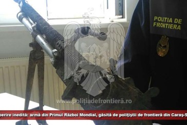 Descoperire inedită: armă din Primul Război Mondial, găsită de poliţiştii de frontieră din Caraş-Severin!