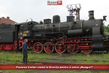 Pasărea Colibri cântă la Oravița pentru a salva „Neagra”!