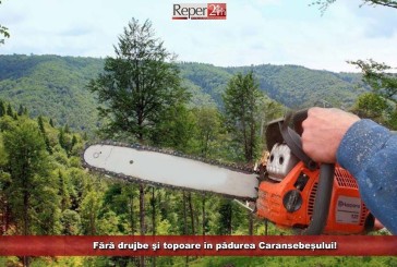 Fără drujbe şi topoare în pădurea Caransebeșului!