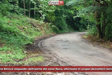 Direcția Silvică răspunde: defrișările din zona Secu, efectuate în scopul dezvoltării turismului