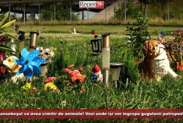 Caransebeşul va avea cimitir de animale! Vezi unde își vor îngropa gugulanii patrupedele