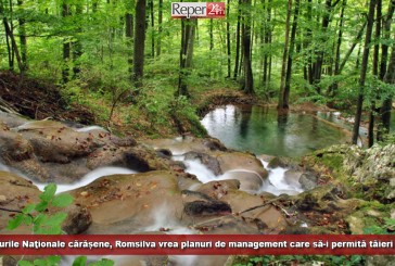 ONG-urile acuză! În Parcurile Naţionale cărășene, Romsilva vrea planuri de management care să-i permită tăieri masive
