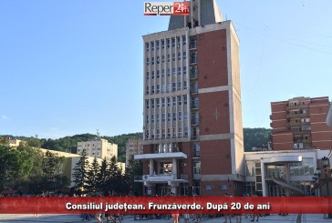 Consiliul județean. Frunzăverde. După 20 de ani