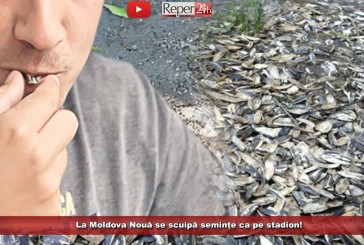 La Moldova Nouă se scuipă semințe ca pe stadion! Primarul Torma vrea o campanie care să scape orașul de coji