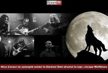 Nicu Covaci ne așteaptă astăzi la Gărâna! Dăm drumul la lupi…începe Wolfblues