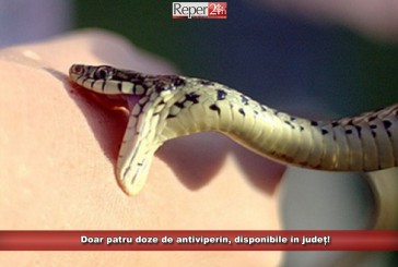 ATENȚIE: Doar patru doze de antiviperin, disponibile în județ!