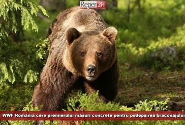 WWF România cere premierului măsuri concrete pentru pedepsirea braconajului!