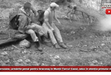 Șase persoane, urmărite penal pentru braconaj în Munții Țarcu! Cazul, adus în atenția primului ministru!