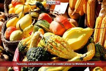 Toamna, sărbătorită cu fast și roade alese la Moldova Nouă!