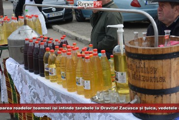 Sărbătoarea roadelor toamnei își întinde tarabele la Oravița! Zacusca și țuica, vedetele ediției!