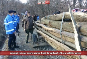 Amenzi tot mai aspre pentru hoții de pădure! IJJ, cu ochii în patru