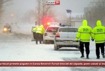 HAOS: Iarna a făcut primele pagube în Caraș-Severin! Turiști blocați de zăpadă, pomi căzuți și inundații