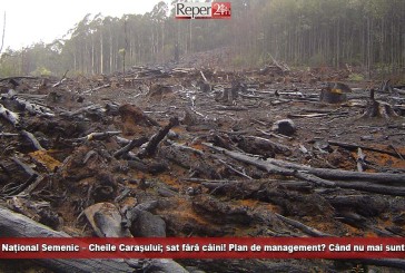 Parcul Național Semenic – Cheile Caraşului; sat fără câini! Plan de management? Poate când nu mai sunt păduri de tăiat…