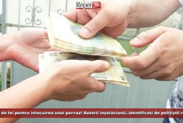 18.900 de lei pentru înlocuirea unui pervaz! Autorii înșelăciunii, identificați de polițiștii reșițeni!