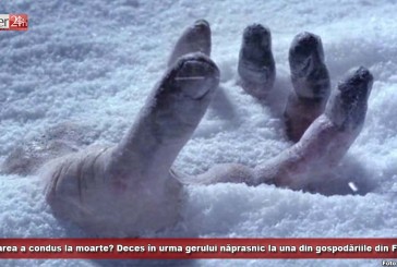 Nepăsarea a condus la moarte? Deces în urma gerului năprasnic la una din gospodăriile din Fîrliug