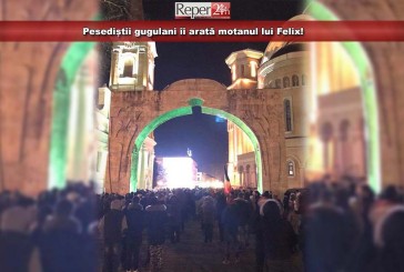 Pesediștii gugulani îi arată motanul lui Felix!