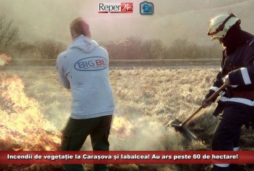 Incendii de vegetație la Carașova și Iabalcea! Au ars peste 60 de hectare!