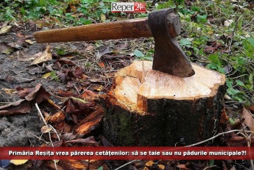 Primăria Reșița vrea părerea cetățenilor: să se taie sau nu pădurile municipale?!