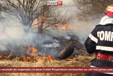 53 de incendii de vegetaţie, în doar 3 zile! Urmează sancțiunile: proprietarii terenurilor nu vor mai primi subvenții!