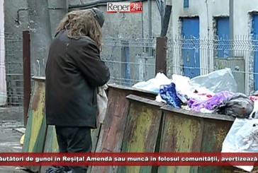 Fără căutători de gunoi în Reșița! Amendă sau muncă în folosul comunității, avertizează Popa!