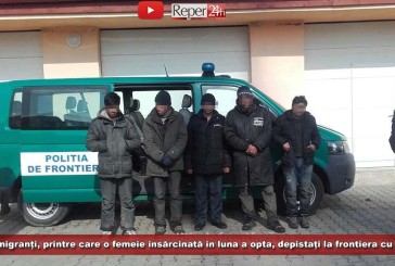 Femeie din Siria, însărcinată în luna a opta, depistată de poliștii de frontieră în Vărădia, alături de trei alți migranți!