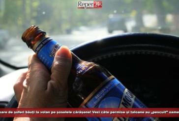 Vânătoare de șoferi băuți la volan pe șoselele cărășene! Vezi câte permise și taloane au „pescuit” oamenii legii