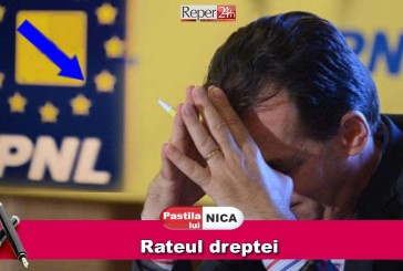 Rateul dreptei