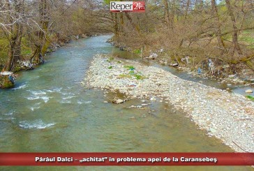 Pârâul Dalci – „achitat” în problema apei de la Caransebeş