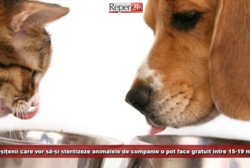 Reșițenii care vor să-și sterilizeze animalele de companie o pot face gratuit între 15-19 mai! Vezi aici unde și cum