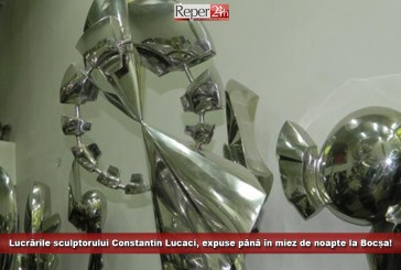 Lucrările sculptorului Constantin Lucaci, expuse până în miez de noapte la Bocșa!