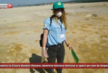 Dezastru în Clisura Dunării! Poluare, obiective turistice distruse și specii pe cale de dispariție