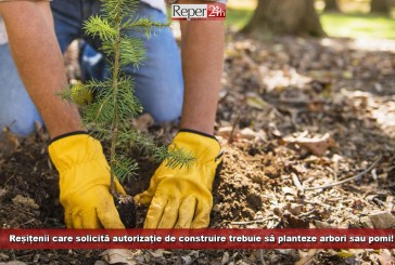 „Cai verzi pe pereți” pentru o Reșița Verde! Reșițenii care solicită autorizație de construire trebuie să planteze arbori sau pomi!