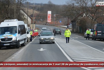 460 de cărășeni, amendați în minivacanța de 1 mai! 28 de permise de conducere, reținute!