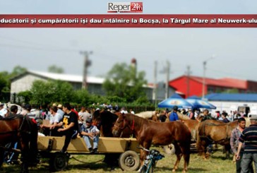 Sărbătoare la Bocșa! Producătorii și cumpărătorii își dau întâlnire la Târgul Mare al Neuwerk-ului!