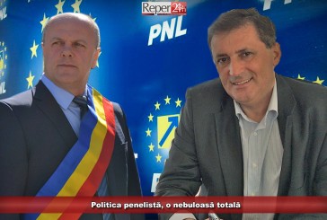 Politica penelistă, o nebuloasă totală