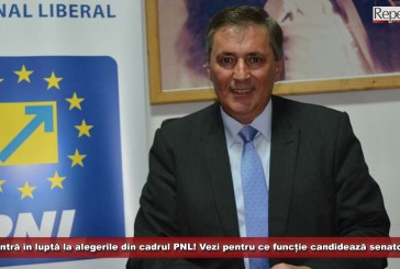 Marcel Vela intră în luptă la alegerile din cadrul PNL! Vezi pentru ce funcție candidează senatorul cărășean!