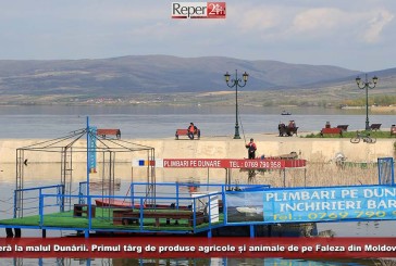 Premieră la malul Dunării. Primul târg de produse agricole și animale de pe Faleza din Moldova Nouă