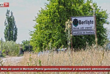 Bine ați venit în Berliște! Patria gunoaielor, bălăriilor și a nepăsării administrative