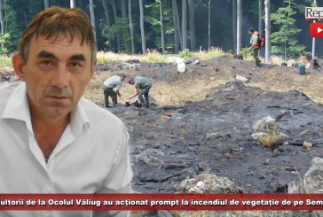 Silvicultorii de la Ocolul Văliug au acționat prompt la incendiul de vegetație de pe Semenic!