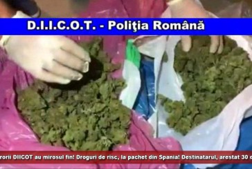 Procurorii DIICOT au mirosul fin! Droguri de risc, la pachet din Spania! Destinatarul, arestat 30 de zile!
