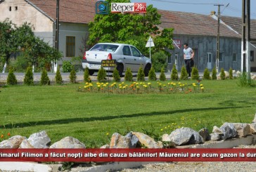 Primarul Filimon a făcut nopți albe din cauza bălăriilor! Măureniul are acum gazon la dungă și ronduri de flori
